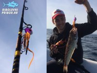 Praznik rada na Žirju...