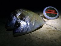 Yo-Zuri POWERCARBON novi fluorocarbon prošao je još jedan u nizu testova...