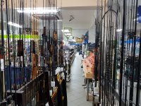 Tjedan bolognese ribolova