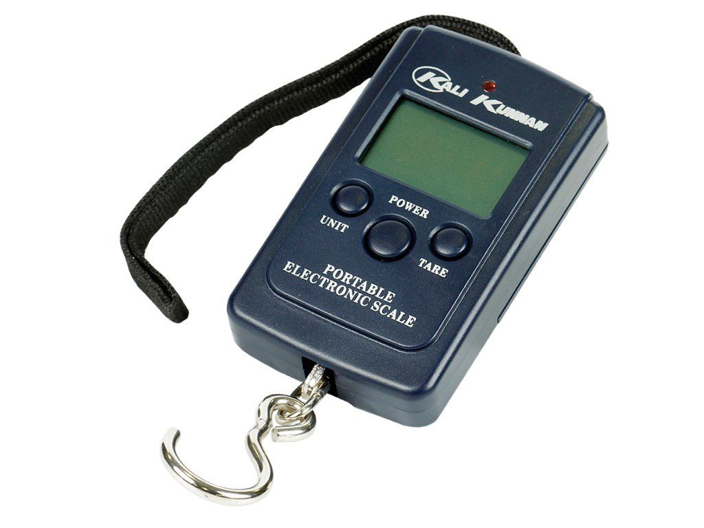 Kali Kunnan Electronic Scale 40kg/10g