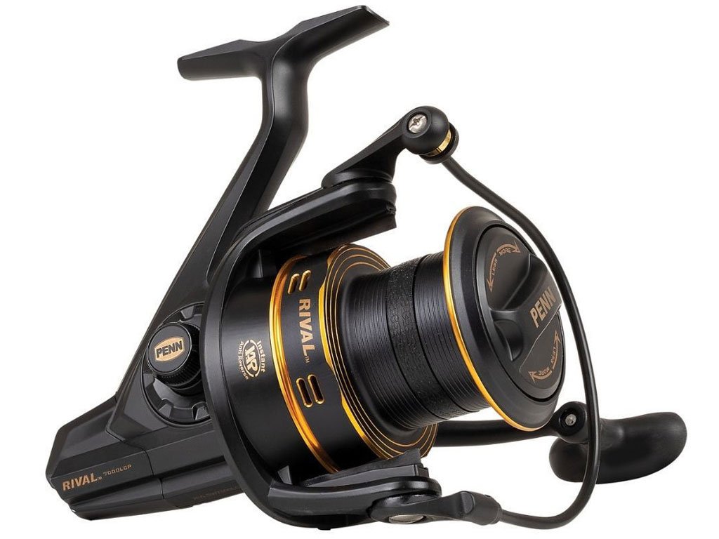 Penn Rival 6000 LC Gold