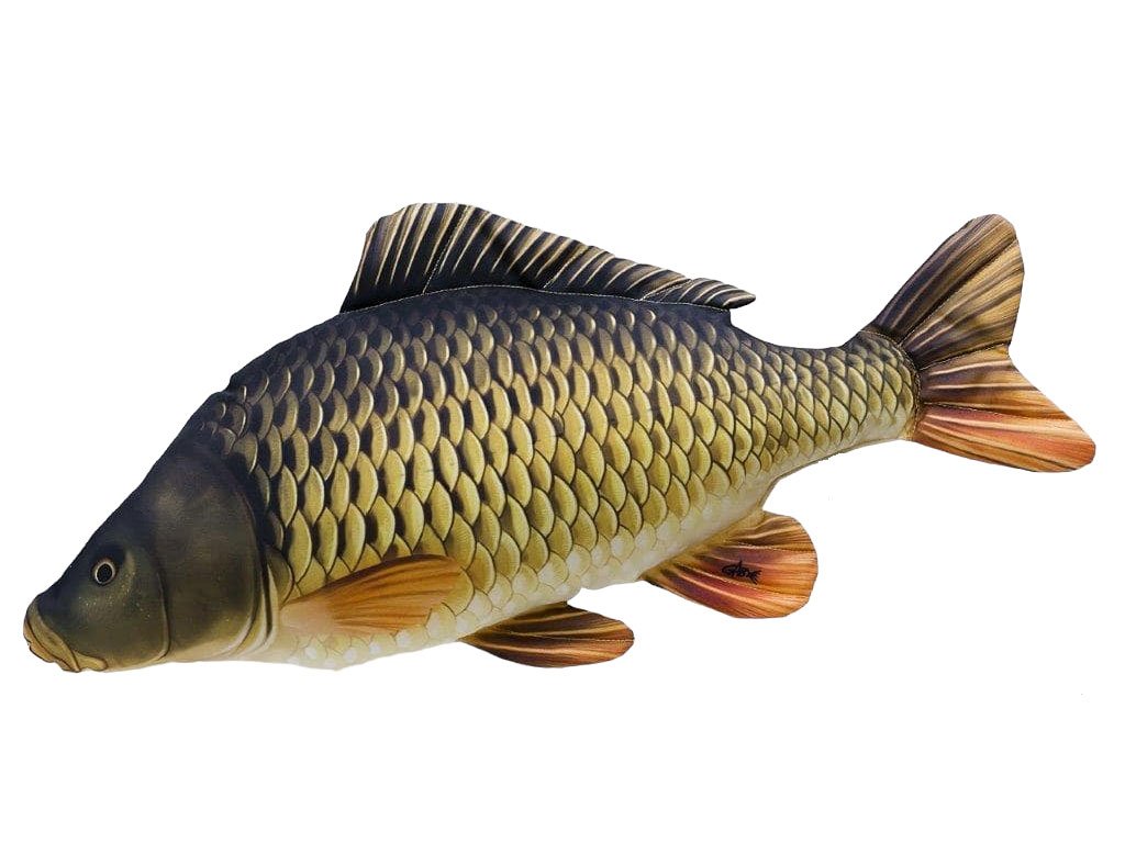 Gaby Common Carp Pillow / Šaran Ljuskavi 64cm