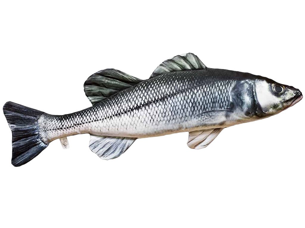 Gaby European Sea Bass Pillow / Brancin 70cm