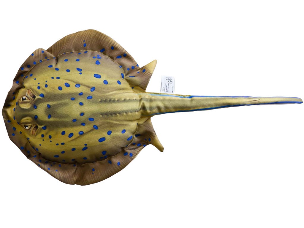 Gaby Blue Spotted Stingray Pillow / Raža 85cm