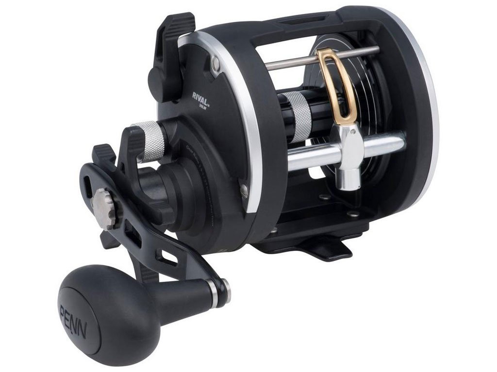 Penn Rival Level Wind 20LWLCLH Left Hand