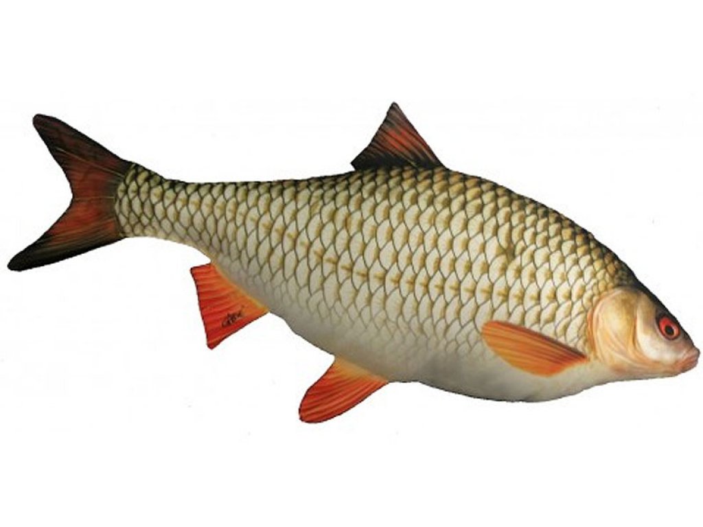 Gaby Roach Pillow / Crvenperka 52cm