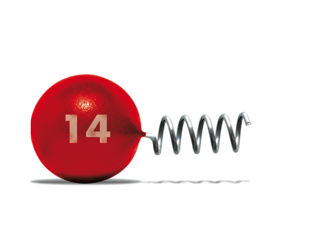 Delalande Quick Lead olovo 14g