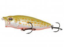 Suxxes Gecko Big Popp 80 Light Yellow