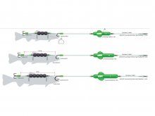 DAM MadCat Scream Pro River Rig Deadbait M 40g