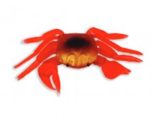 Camor Rak Gumeni 10x6cm Crveni