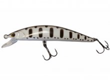 Owner TTR-83 F B&W Yamame 015