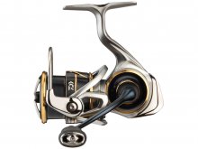 Daiwa Airity LT 2500D
