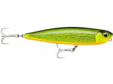 Rapala Precision Xtreme Pencil Exo 13cm, 26g GDR
