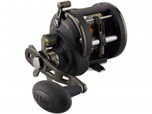 Penn Squall II Level Wind 20LW Right Hand