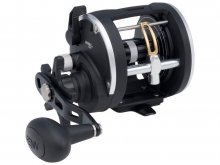 Penn Rival Level Wind 30LWLH Left Hand