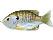 LiveTarget Sunfish Hollow Body 75mm, 12g Natural/Olive Bluegill