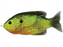 LiveTarget Sunfish Hollow Body 75mm, 12g Floro Pumpkinseed