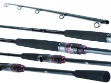 Daiwa Freams Evolution Spin 742MHFS-AI 2.24m, 10-30g, 2pcs
