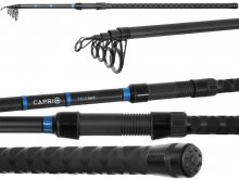 Delphin Capri Tele NXT 3.00m, 80g