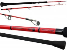 Sportex Jolokia Cat Boat JC3008 3.00m, 100-300g