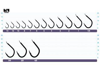 Owner Iseama 50046, Zlatna, 1