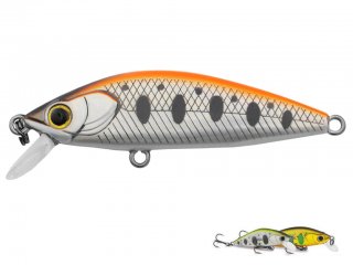 Seika by Tubertini Samu 50mm 07