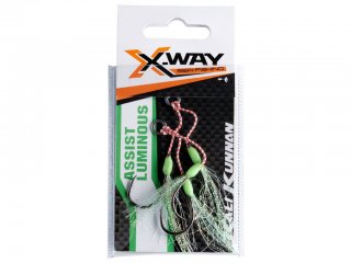Kali Kunnan Catch It Assist Hook Luminous 1/0 2pcs