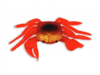 Camor Rak Gumeni 15x6cm Crveni