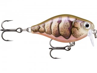 Rapala X-Light Crank Shallow Runner 3.5cm, 4g PUPU