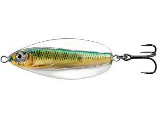 LiveTarget Erratic Shiner Spoon 60mm, 14g Gold/Green