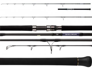 Daiwa 21 Saltiga Casting 2.51m, 130g