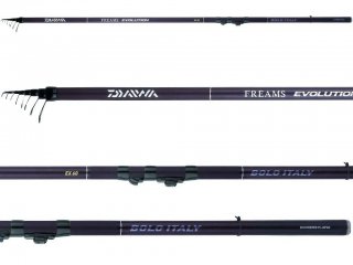 Daiwa Freams Evolution Bolo Power 6.00m, Max 25g