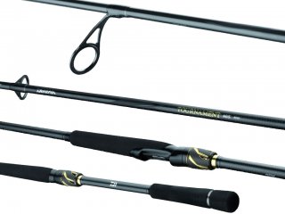 Daiwa Tournament AGS 802HCI 2.44m, 15-50g