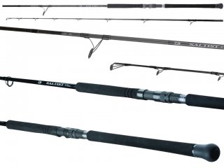 Daiwa 25 Saltist SX SJ 100HHJSAI 3.05m, Max 160g